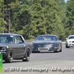 35th Anniversary Mustang Roundup  7-16-15 495