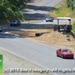 35th Anniversary Mustang Roundup  7-16-15 544