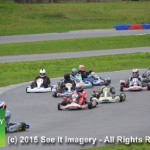 4-Stroke Karts 11-1-15 091