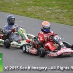 4-Stroke Karts 11-1-15 097